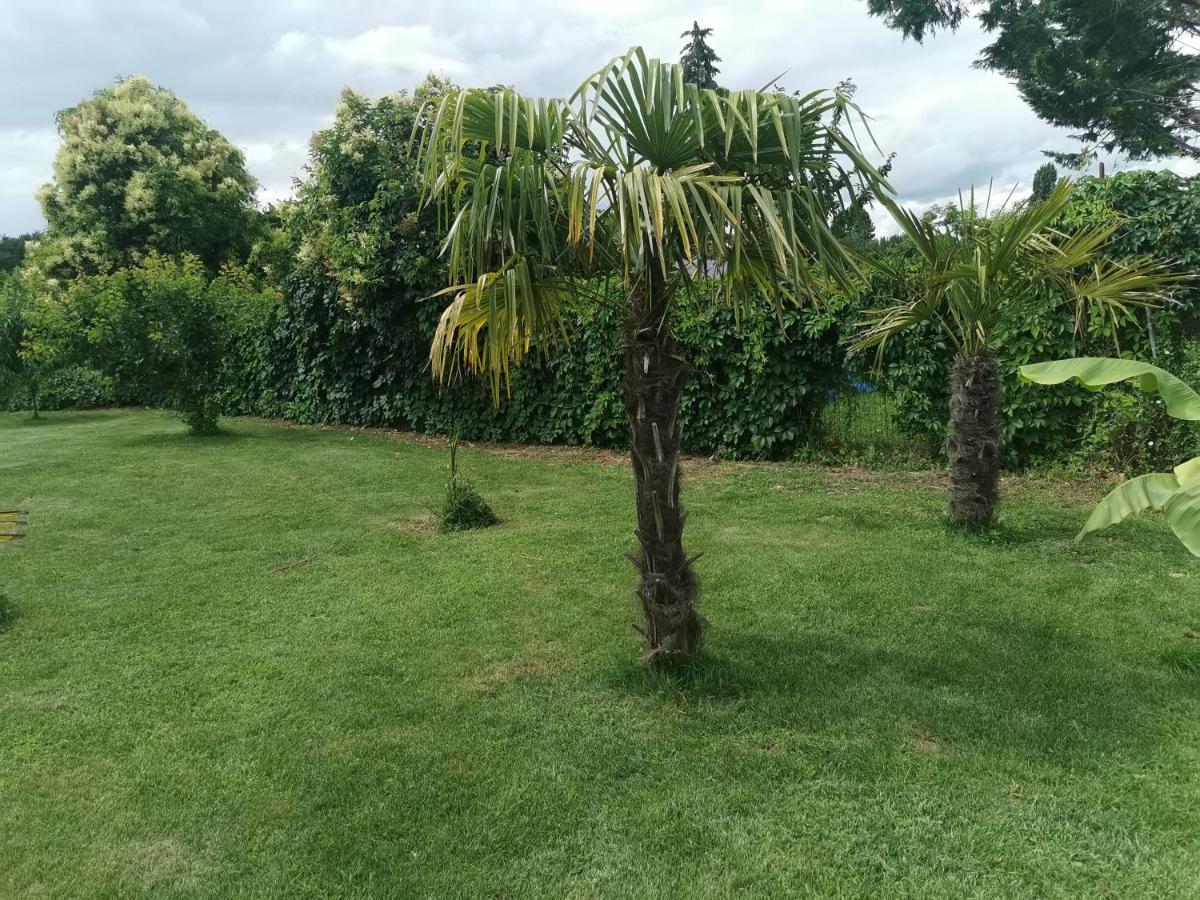 Sainte-Terre Jolie Villa Avec Piscine Dans Le St Emilionnais מראה חיצוני תמונה